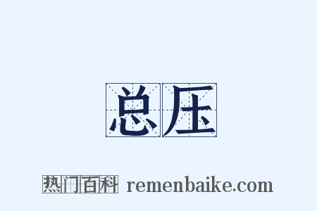 总压是什么意思的图片